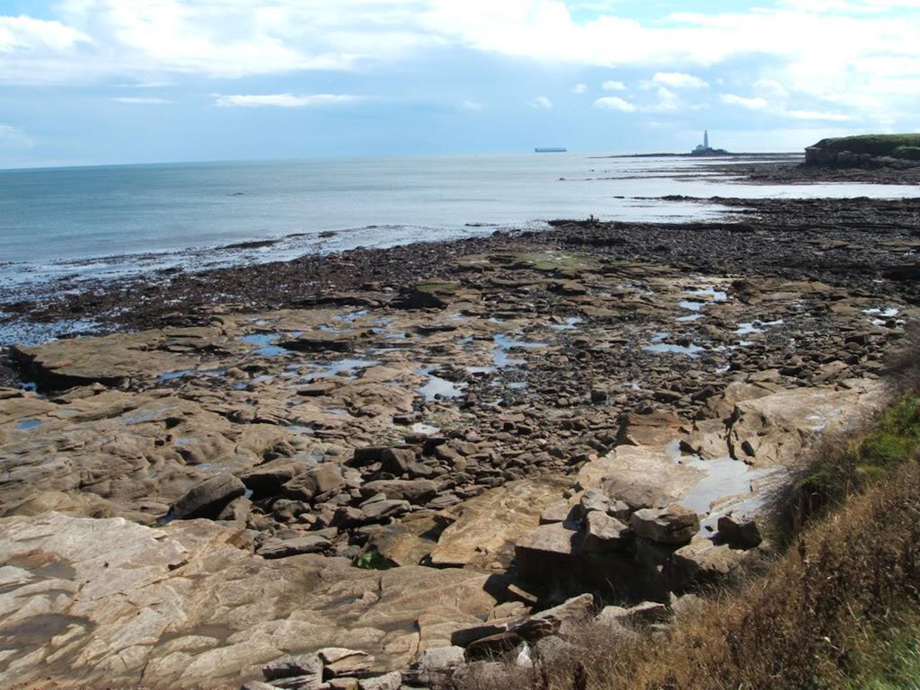 Lighthouse Guest House Whitley Bay Exterior photo